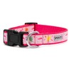 The Worthy Dog Birthday Collar - Festive Pink Dog Collar