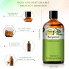 PHATOIL Bergamot 3.4 fl oz (100 ml) Essential Oil Aroma