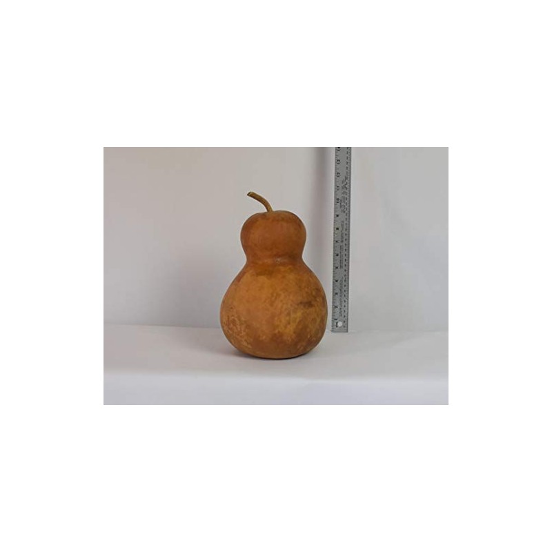 Dried Hard Shell Bottle Gourd - 7" Diameter