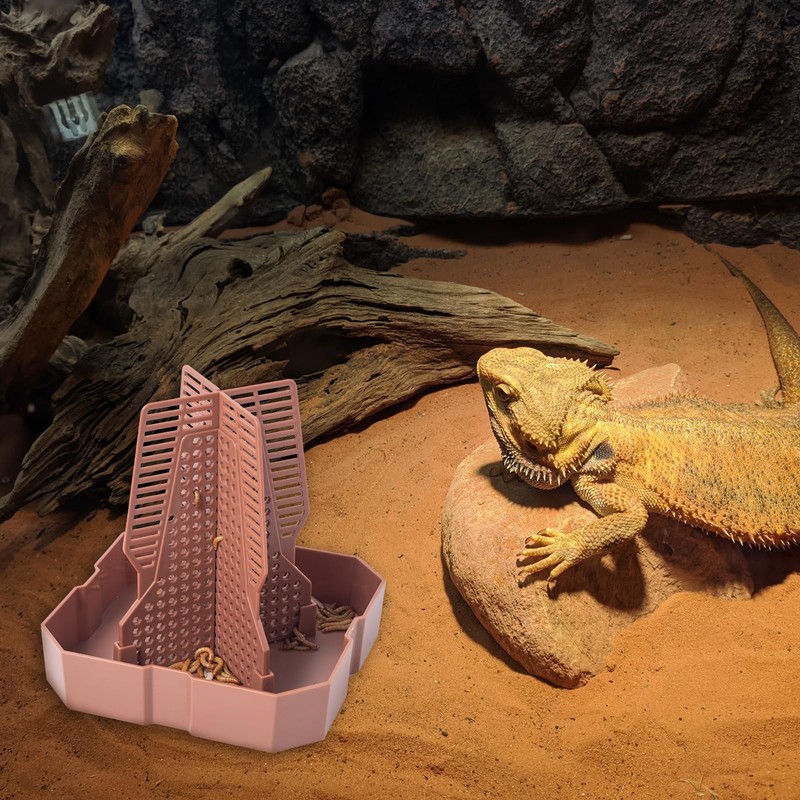 Reptile Feeder Bowls with Climbing Ladder for Chameleon,Bearded Dragon,Guardians Hunting