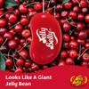 Jelly Belly 15210 Very Cherry Air Freshener, 18g