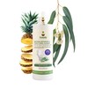 Fuwa3e Pineapple Enzyme Natural Toilet Bowl Cleaner Halcyon Eucalyptus -