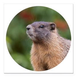 Fashion Jewelry Impressive Gift PRAIRIE DOG ANIMAL Pendant on 925 Silver 20" Necklace Women Men