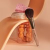 PICCASSO Picasso Foundation Brush Glow Smooth Shine Creation FB17, 1ea
