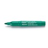 Viscot Mini EZ Removeable Ink Skin Marker Green 10 Pack