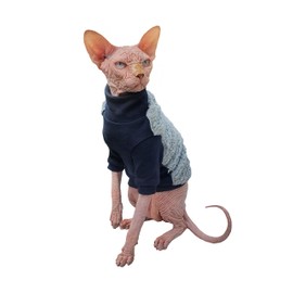 Kotomoda Cat's sweater Winter sweater Sport chic for Sphynx and naked cats (X-Large)