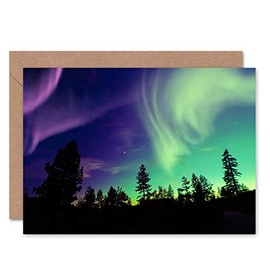 Fine Art Prints Northern Lights Pine Silhouette Greeting Card with Envelope Inside Premium Quality Black Green 12.5cm x 17.5cm CLDT0167