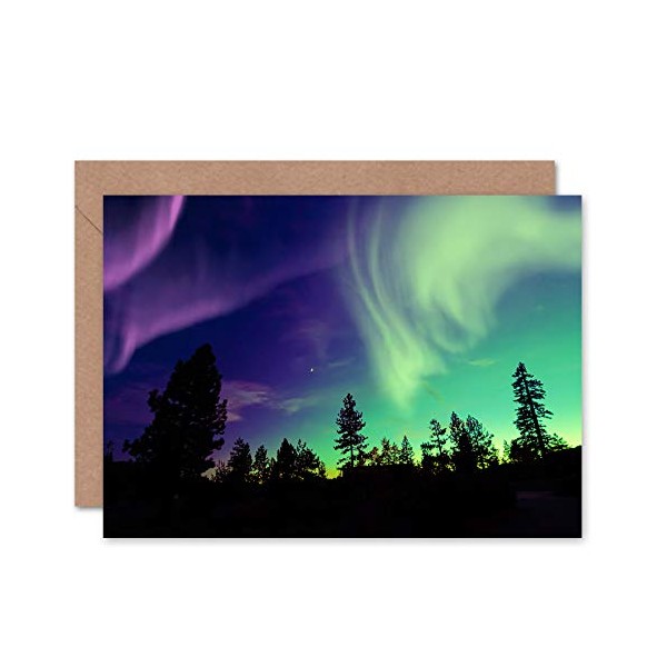 Fine Art Prints Northern Lights Pine Silhouette Greeting Card with