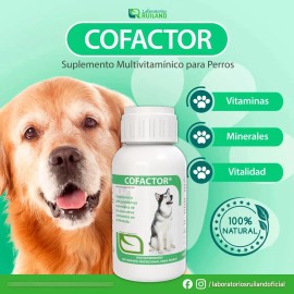 Ruiland® Vetri Cofactor 60 Tabletas Vitaminas Para Perro