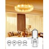 Fulighture G9 Halogen Bulbs, Clear Capsule Halogen Lamps Dimmable, 25W,