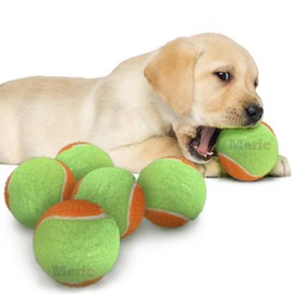 Meric Squeak Toys for Dogs, 2.5" Round Tennis Balls, Green and Orange, Great for Chewing, Tossing, Bouncing & Fetching, for Beagles, Boxers, Retrievers, and Dalmations, 6-pc