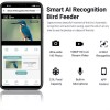 Bird Smart AI Recognition Bird Feeder HD Streaming Video Solar