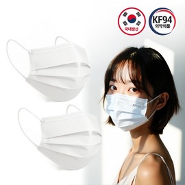 WJT Made in Korea 100-Count Large KF94 Flat-Type Disposable Masks White 100-Pack