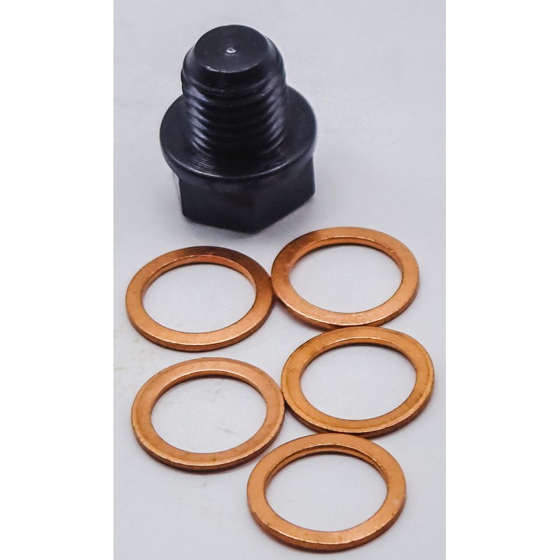 Traverse Creek Incorporated Genuine Echo Decompression Valve Plug with Extra