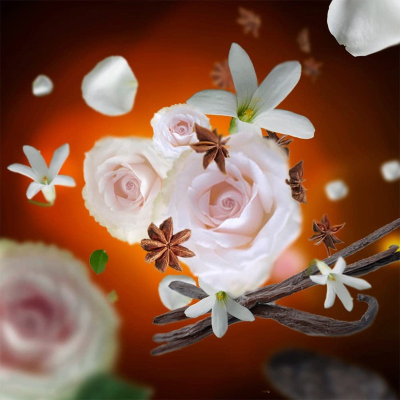 Night & Day Fragrance Diffuser Capsule - Optimize Your Wake-up