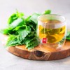 TEARELAE - Nettle Leaf Tea - 1.5g x 50 Counts