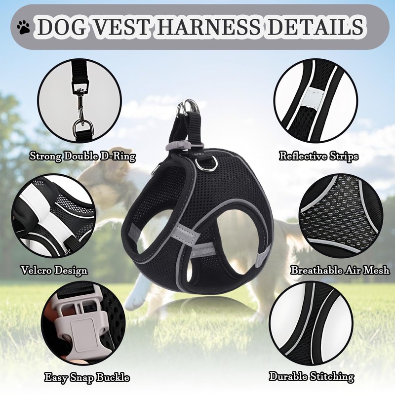 Reflective Anti-Pull Dog Harness & Leash Set | Adjustable Step-in