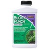 Bonide Sucker Punch, 8 oz Ready-to-Use Sprout Control Liquid with