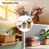 6 Pcs Plant Baskets Indoor with Plastic Liners, Wicker Hand