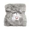 Max Daniel Luxe Grey Bunny Baby Blanket - Double-Sided -