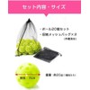 Baseball Batting Practice Balls, Perforated Balls, Includes Exclusive Mesh Bag