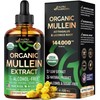 USDA Organic Mullein Drops for Lungs - Mullein Leaf &