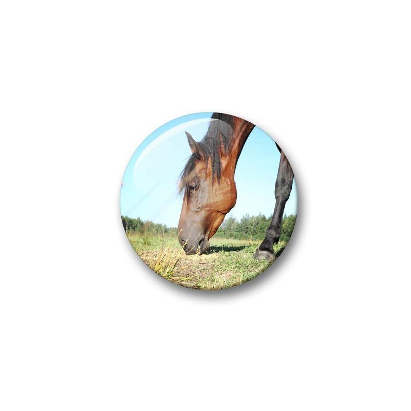 04 Large Fridge Magnets for Memo Board / Notice Board