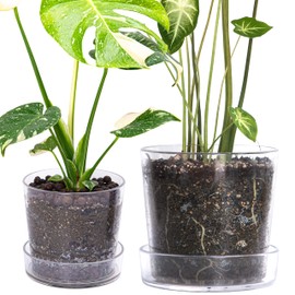 Phoenix Vine 6.5 Inch 8 Inch Clear Acrylic Houseplants Planter Pot with Tray, Orchid Pot with Drainage Holes, Deep Saucer for Bottom Watering, Transparent Containers for Indoor Plants, Herbs, 91-B-Z