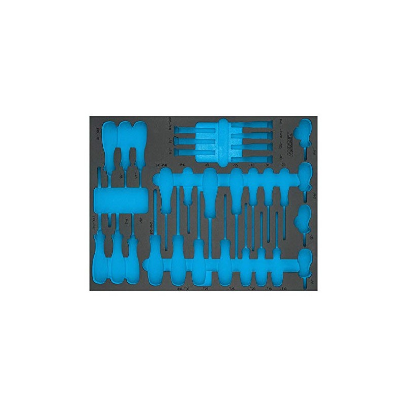 Hazet 163-524L Foam Insert, Assortment Box