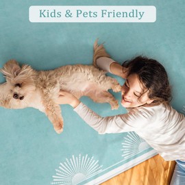 Hedlive Modern Washable Area Rugs, 3x5 Teal Rugs for Bedroom Non Slip Soft Entry Rug, Low Pile Aqua Small Living Room Rug, Sun Print Floor Carpet for Office Nursery Dorm(3'x5',Teal)