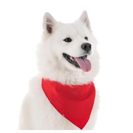 Generic Red Dog Bandana, 20 Names to Choose from, 100% Polyester Dog Scarf, Dog Handkerchief for Girl or Boy, All Seasons (Charlie, Large)