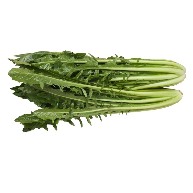 Inulin Powder - Ideal for Ice Cream and Sorbets -