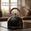 2.64 Quart Whistling Tea Kettle, Stove Top Stainless Steel Tea