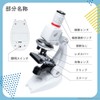 Children's Microscope Microscope Set, 100-1200 Magnification, Science Experiment, Children's Microscope,