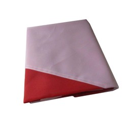 AES 3x5 Embroidered Diver Down Nautical Boating Single Sided 220D Nylon Flag 3'x5' Fade Resistant Double Stitched Premium Penant House Banner Grommets