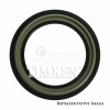 Timken Wheel Seal 710176 for Nissan