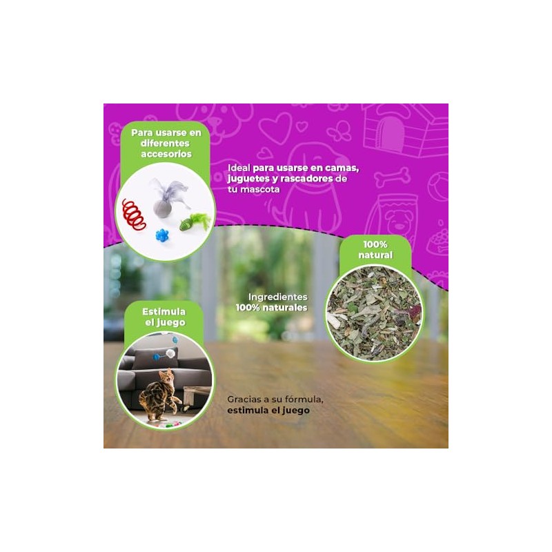 Fancy Pets Catnip para Gato o Hierba Gatera con 28