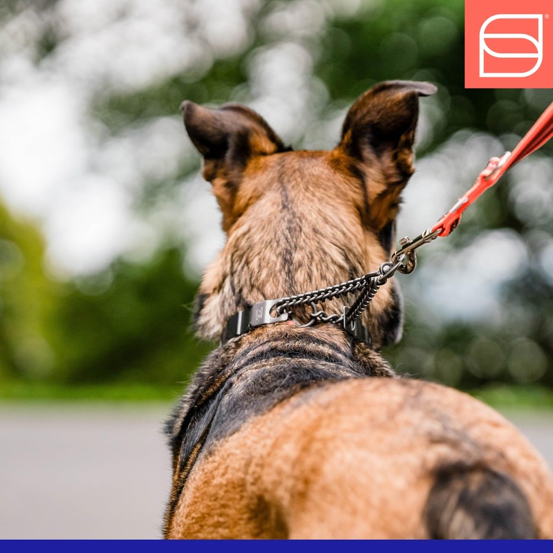 Herm. Sprenger NeckTech Fun Dog Training Collar with Quick Release