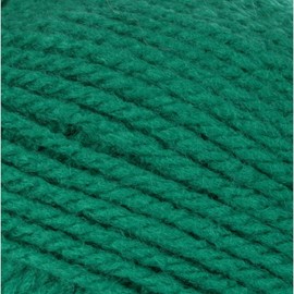 Patons Astra Emerald Yarn - 10 Pack of 1.75oz/50g - Acrylic - 3 DK - 161 Yards - Knitting/Crochet