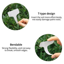 QWORK® 100 Stück Pflanzenetiketten, 6 x 10 cm Große Kunststoff- Pflanzenschilder, Garten Etiketten, für Gemüse, Setzlinge, Blumen, T-Typ