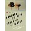 Brother & Sister Enter the Forest: A Novel