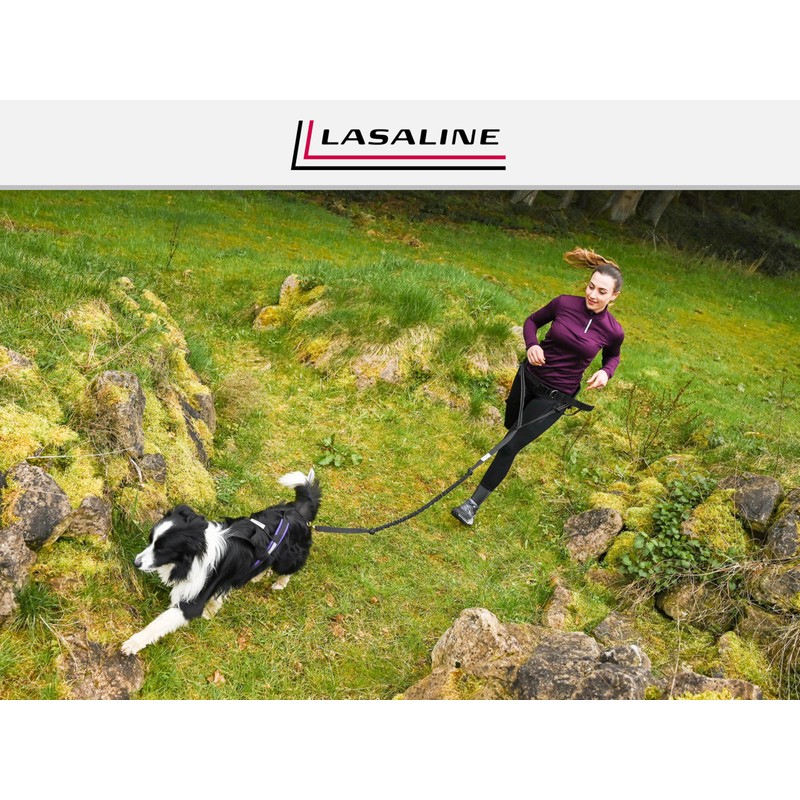 LASALINE XBack Dog Harness - Bikejoring, Dog Pull, Ski Joring