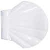 Spirella Plastic Shell Clips, White