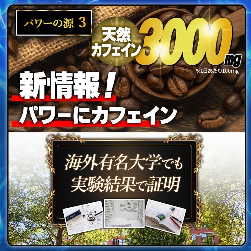 龍起丸 りゅうきがん 30包/30日分【公式】 マカ9000mg 100倍濃縮トンカットアリ カフェイン3000mg [メーカーカタログ付]