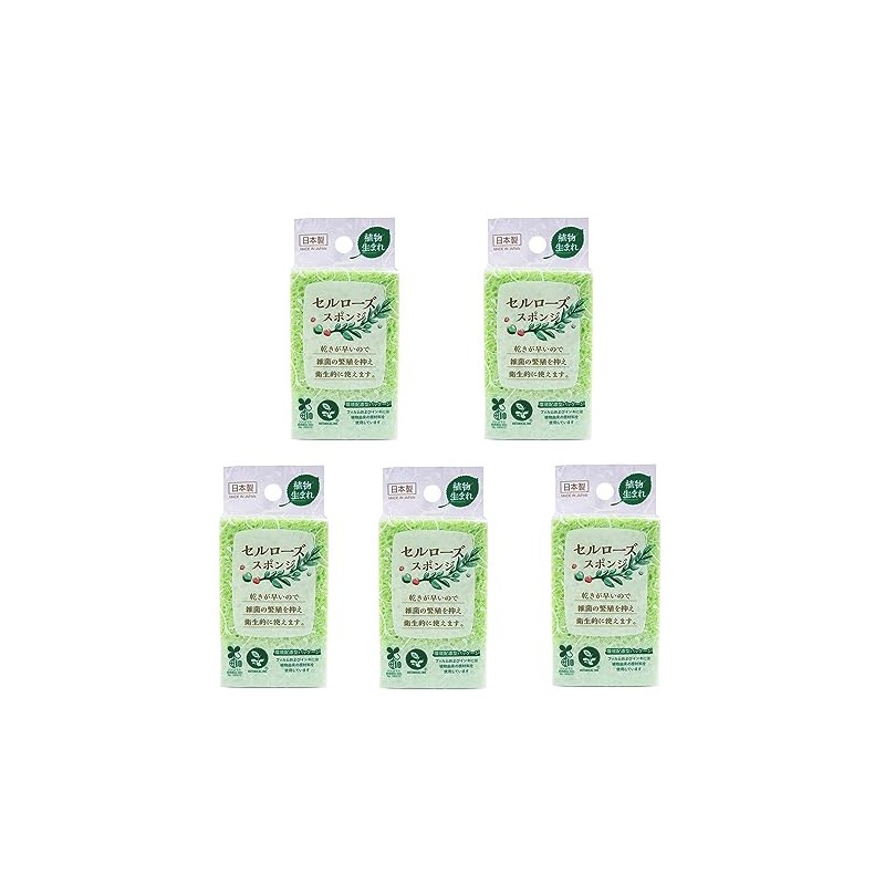 Wise Cellulose KZ-136 Kitchen Sponge, GR 5 Pieces, Made in