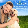 TECEUM Reflective Pet Collar – Teal - ESA – XS