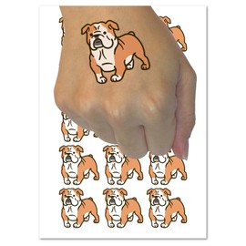 English Bulldog Standing Dog Temporary Tattoo Water Resistant Fake Body Art Set Collection - 15 2" Tattoos (1 Sheet)