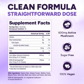 Sugar Free Lions Mane Supplement Gummies with KSM-66 Ashwagandha - Nootropic Supplement for Cognition, Brain Fog, Mental Clarity, Focus & Stress Support - Natural Berry Flavor, Vegan, Made in USA