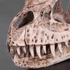 Fdit Retro Dinosaur Resin Skull Head Model Replica Skeleton Figurine