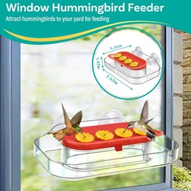 Feishiong Window Hummingbird Feeders,Hanging Hummingbird Feeder with Suction Cup Tabletop Humming Bird Feeder Bird Water Station Trays,with 4 Feeding Ports, Easy to Clean and Refill